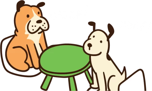 Perros socializando en pensión de perros